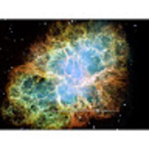 Meet your Posher, Collin